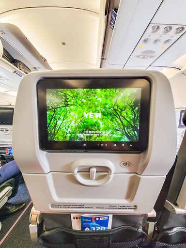 In-Flight Advertising Image 2